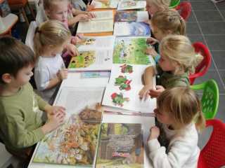 IMG-20241115-WA0009