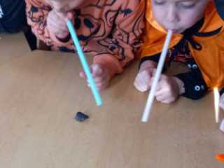 IMG-20221102-WA0002