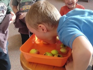 IMG_20221102_093538