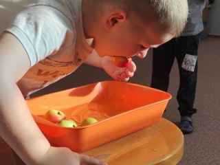 IMG_20221102_093616