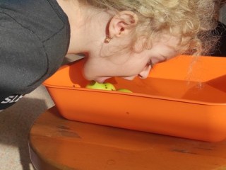 IMG_20221102_093643