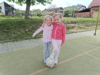 IMG_20260504_102530