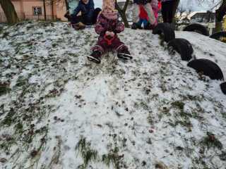 IMG-20250106-WA0008