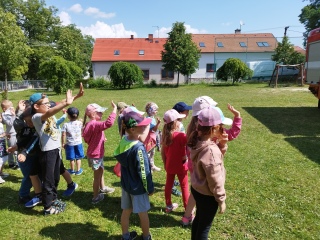 IMG_20230614_105209