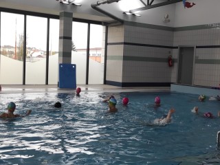 IMG_20221107_135229