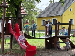 IMG_8505