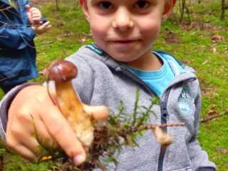 IMG-20220912-WA0001