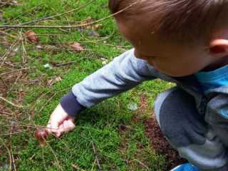 IMG-20220912-WA0003
