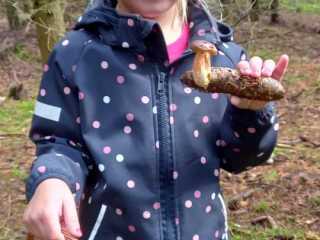 IMG-20220912-WA0005
