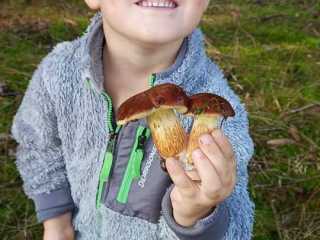 IMG-20220912-WA0007