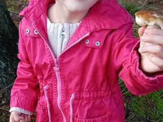 IMG-20220912-WA0008