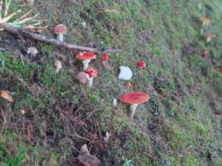 IMG-20241011-WA0010