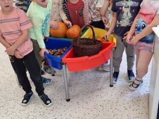IMG-20241011-WA0012