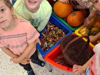 IMG-20241011-WA0015