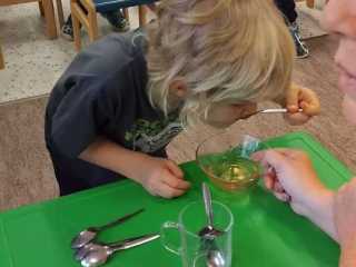 IMG-20241019-WA0001