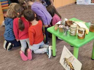 IMG-20241019-WA0022