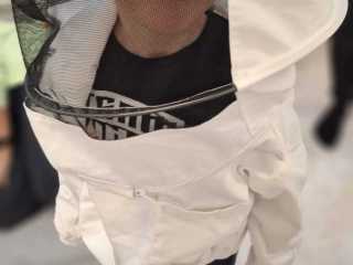 IMG-20241019-WA0035