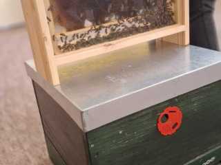 IMG-20241019-WA0045
