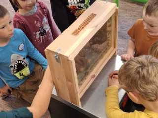 IMG-20241019-WA0046