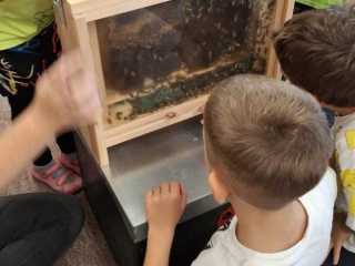 IMG-20241019-WA0049