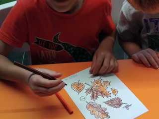 IMG-20240919-WA0005