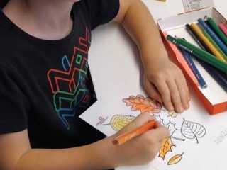 IMG-20240919-WA0006