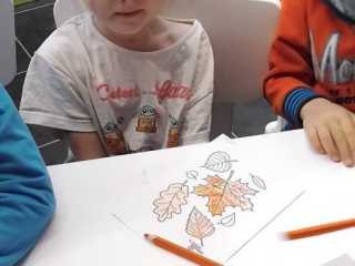 IMG-20240919-WA0010