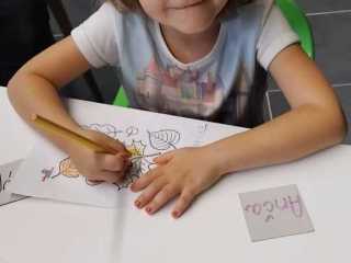 IMG-20240919-WA0012