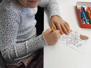 IMG-20240919-WA0013