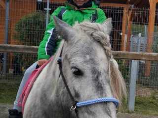 IMG-20240425-WA0006
