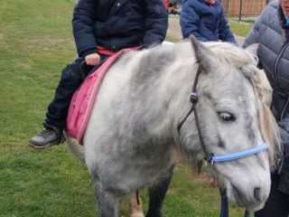 IMG-20240425-WA00091