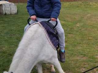 IMG-20240425-WA00101