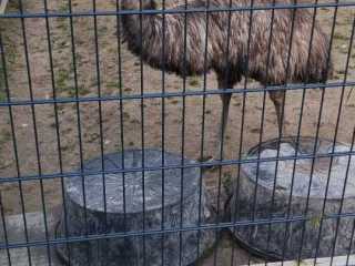 IMG-20240425-WA00111