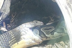 Zoo